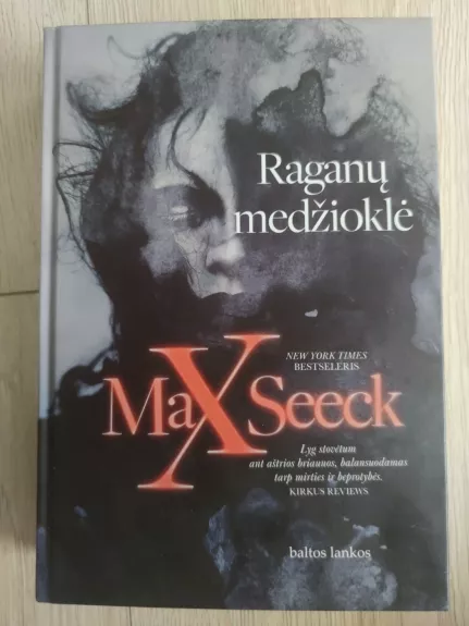 Raganų medžioklė - Max Seeck, knyga 1