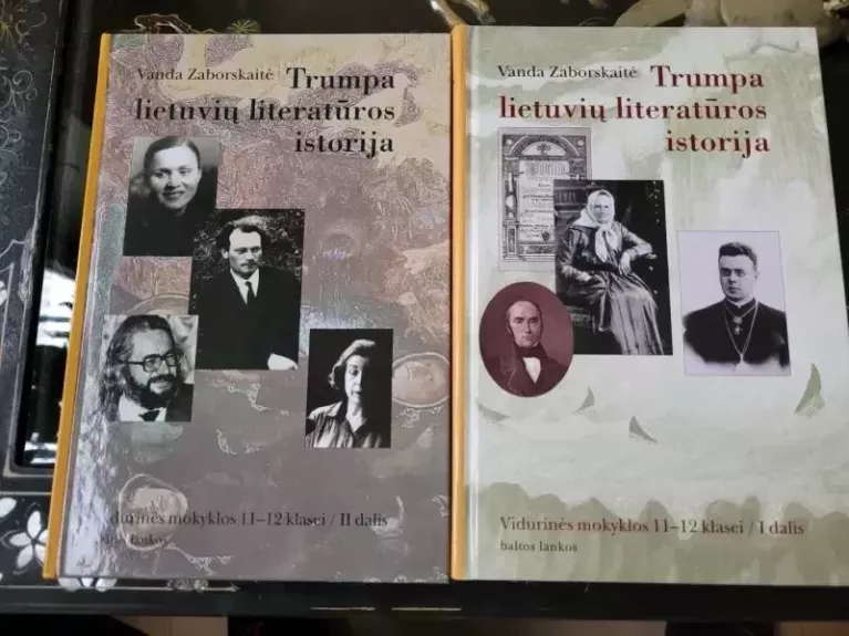 Trumpa lietuvių literatūros istorija vidurinės mokyklos 11-12 klasei (2 dalys)