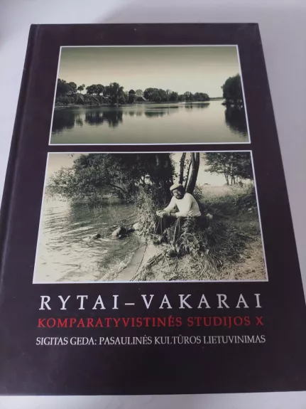 Rytai - Vakarai: komparatyvistinės studijos X - Antanas Andrijauskas, knyga