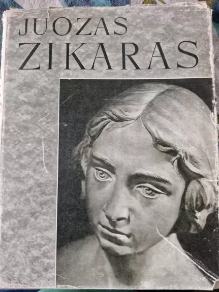 Juozas Zikaras - Stasys Budrys, knyga 1