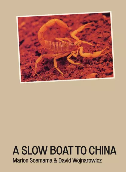 A Slow Boat To China (Hardcover) - David Wojnarowicz, knyga