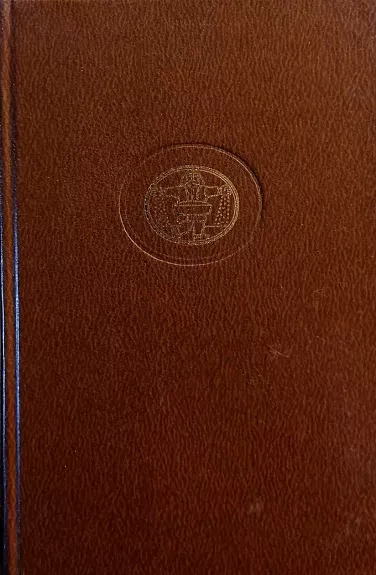 Drinos tiltas. Ant proto ribos