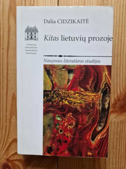 Kitas lietuvių prozoje. Naujosios literatūros studijos - Dalia Cidzikaitė, knyga