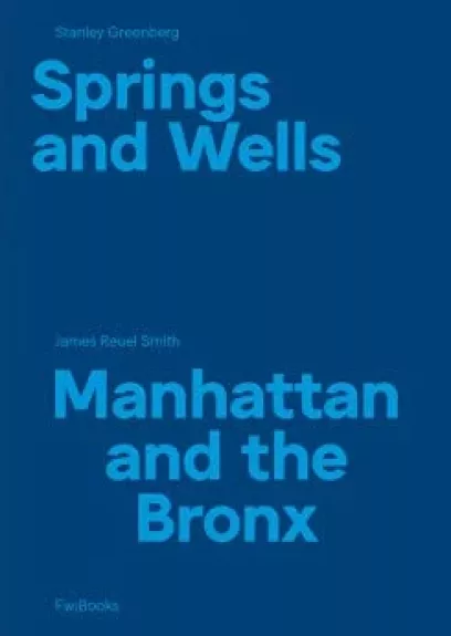 Springs And Wells - Manhattan And The Bronx - Stanley Greenberg, knyga