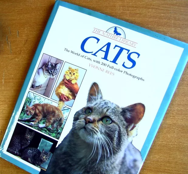 Cats - Yvonne Rees, knyga