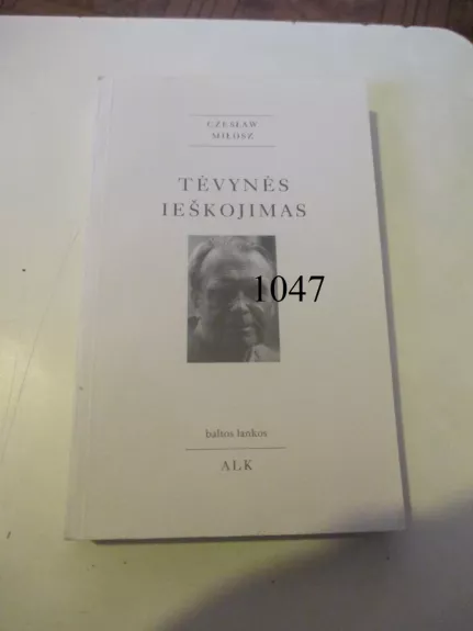 Tėvynės ieškojimas