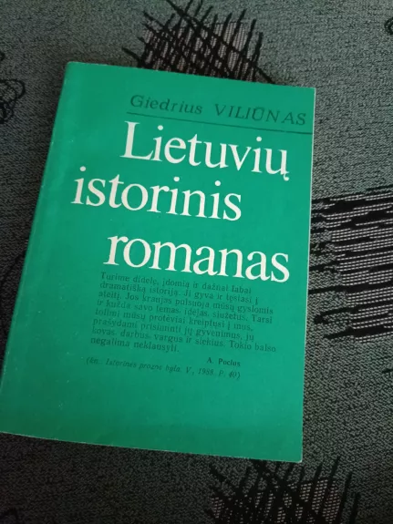 Lietuvių istorinis romanas