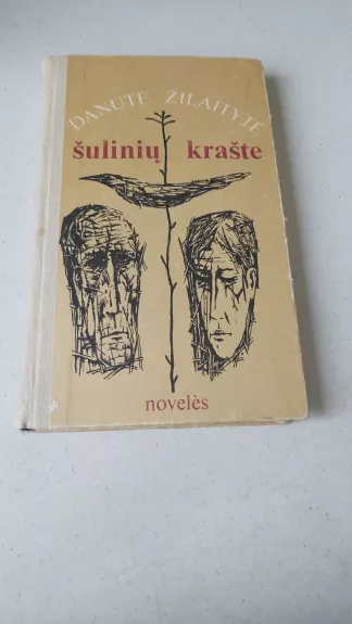 Šulinių krašte