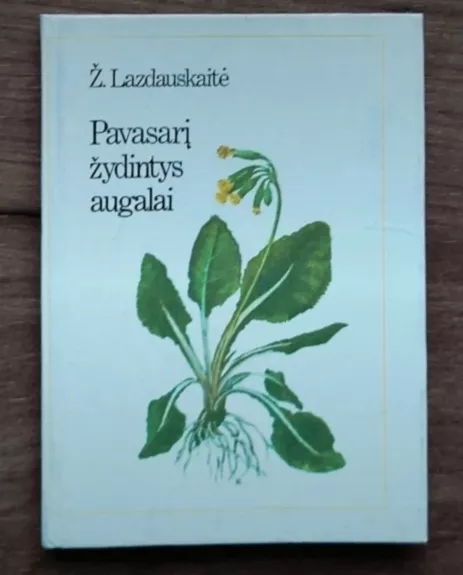 Pavasarį žydintys augalai