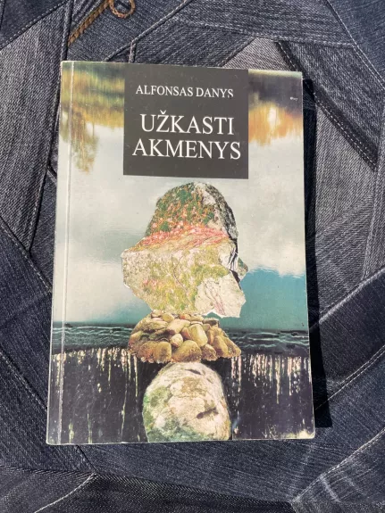 Užkasti akmenys - Alfonsas Danys, knyga
