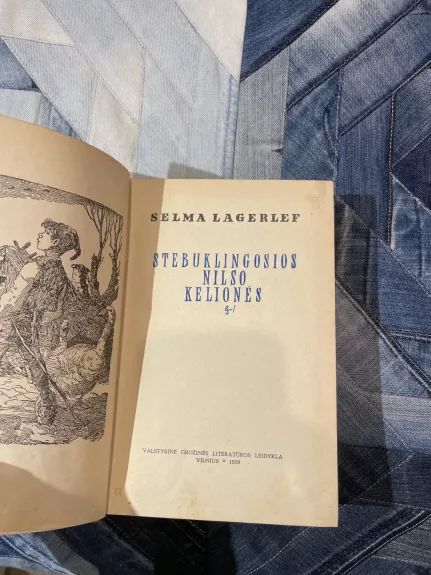 Stebuklingosios Nilso kelionės - Selma Lagerlöf, knyga 1