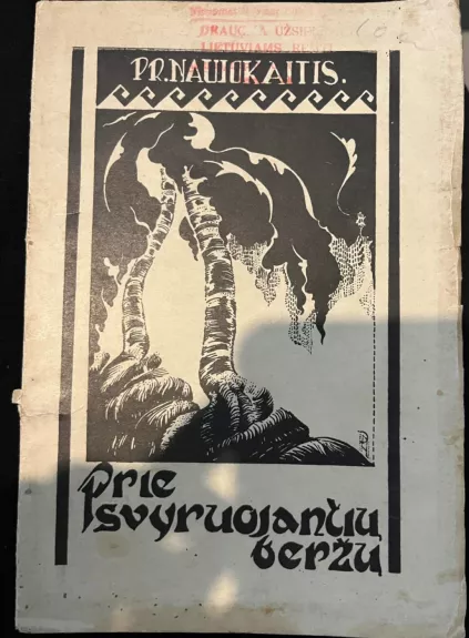 Prie svyruojančių beržų