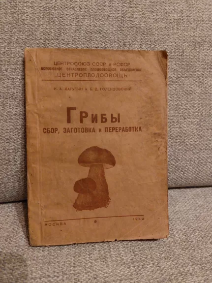 Grybai: Grybų rinkimo, derliaus nuėmimo ir perdirbimo knyga - I. Lagutinas, B. Golenzovskis, knyga