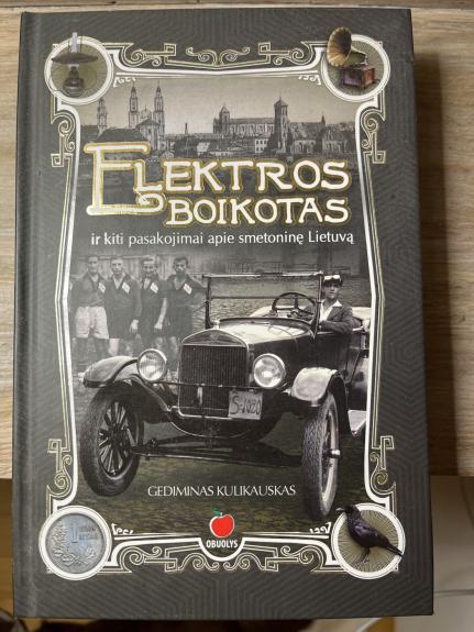 Elektros boikotas - Gediminas Kulikauskas, knyga 1