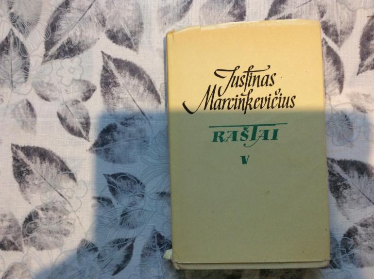 Justinas Marcinkevičius raštai 5 tomas