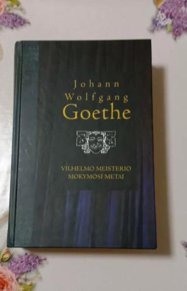 Vilhelmo Meisterio mokymosi metai