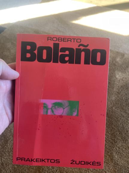 Prakeiktos žudikės - Roberto Bolano, knyga 1