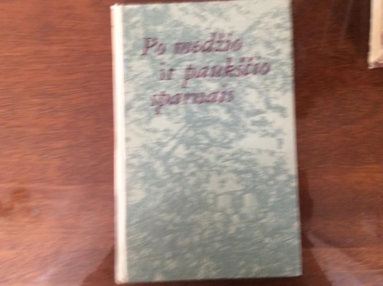 Po medžio ir paukščio sparnais