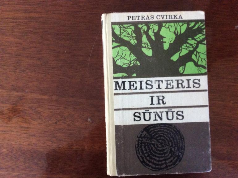 Meisteris ir sūnūs