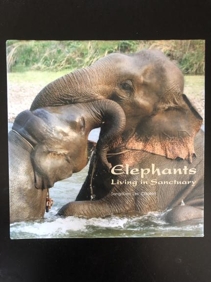 Elephent Fun: Living in Sanctuary