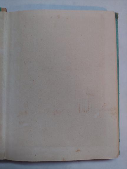 Berliuretės upelio paslaptis