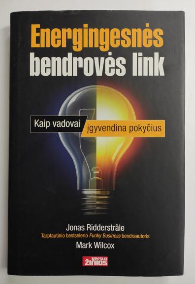 Energingesnės bendrovės link: kaip vadovai įgyvendina pokyčius