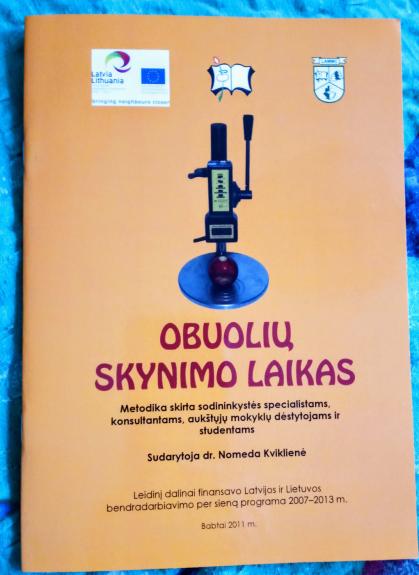 Obuolių skynimo laikas