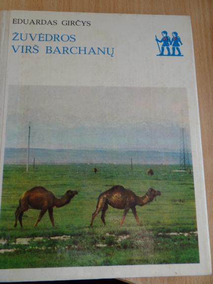 Žuvėdros virš barchanų