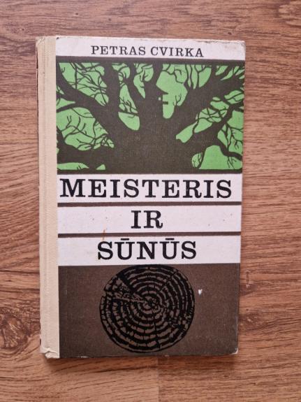 Meisteris ir sūnūs