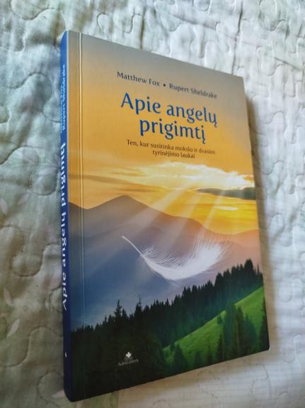 Apie angelų prigimtį. Ten, kur susitinka mokslo ir dvasios tyrinėjimo laukai - Matthew Fox, Rupert Sheldrake, knyga 1