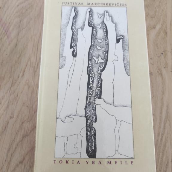 Tokia yra meilė / Love is like this