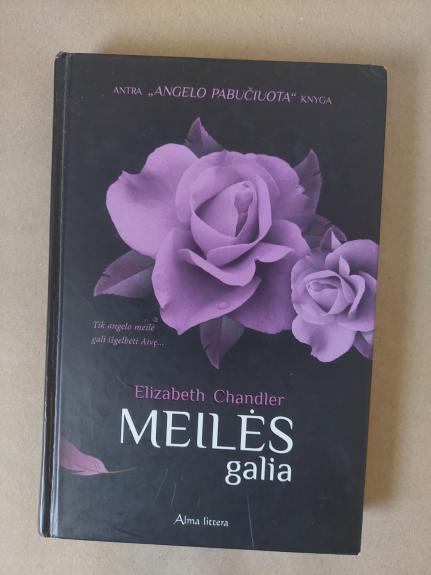 Meilės galia