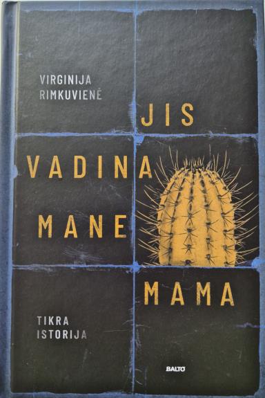 JIS VADINA MANE MAMA