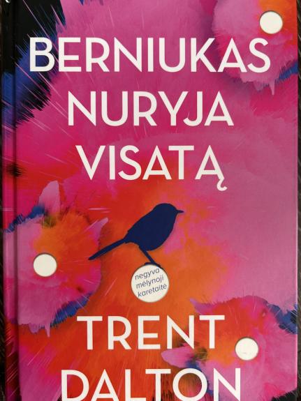 Berniukas nuryja visatą