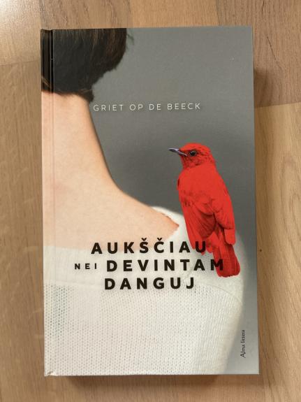 Aukščiau nei devintam danguj