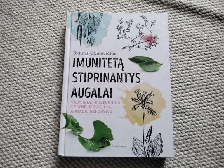 Imunitetą stiprinantys augalai
