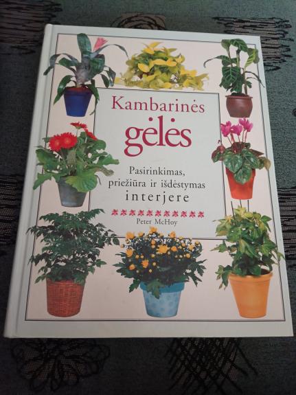 Kambarinės gėlės. Pasirinkimas ir išdėstymas interjere - Peter McHoy, knyga