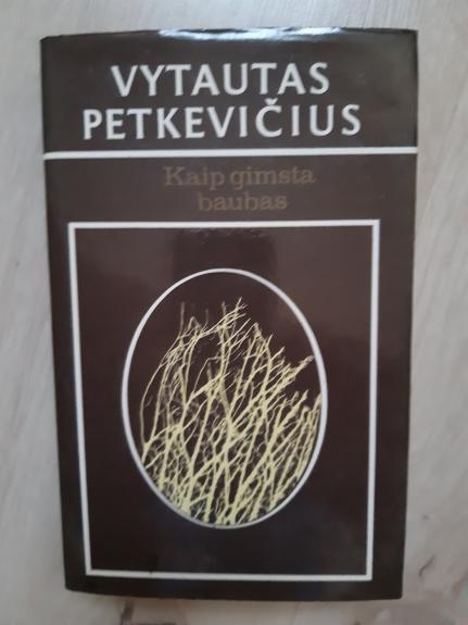Kaip gimsta baubas - Vytautas Petkevičius, knyga