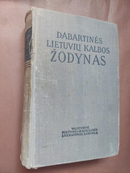 Dabartinės lietuvių kalbos žodynas