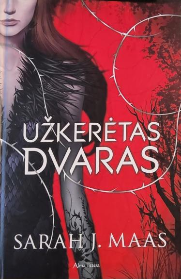 Užkerėtas dvaras (1 dalis) - Sarah J. Maas, knyga