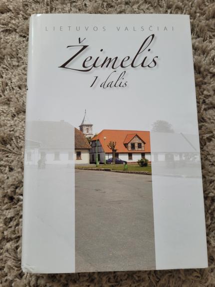 Žeimelis 1 dalis - Aloyzas Bėčius, knyga