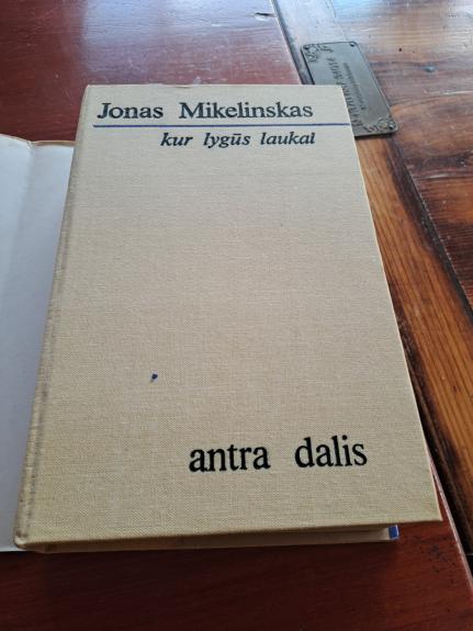 Kur lygūs laukai anta dalis - Jonas Mikelinskas, knyga