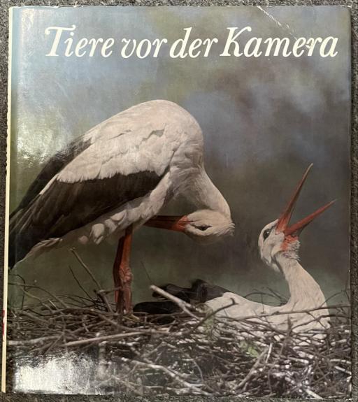 Tiere vor der Kamera