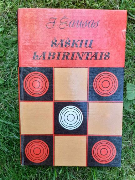 Šaškių labirintais