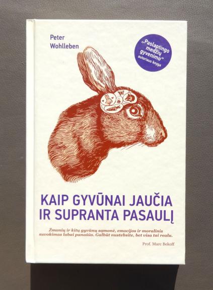 Kaip gyvūnai jaučia ir supranta pasaulį