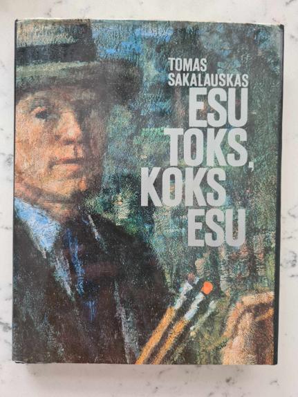 Esu toks, koks esu