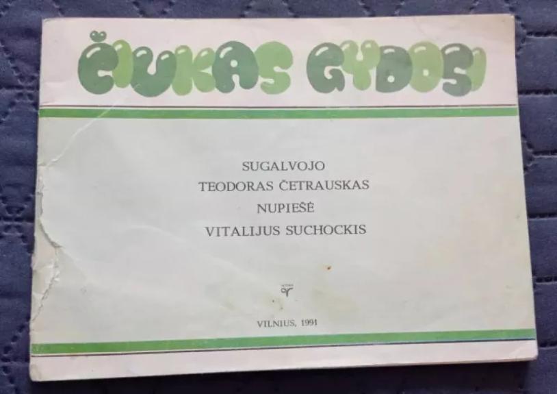 Čiukas gydosi - Vitalijus Suchockis, knyga