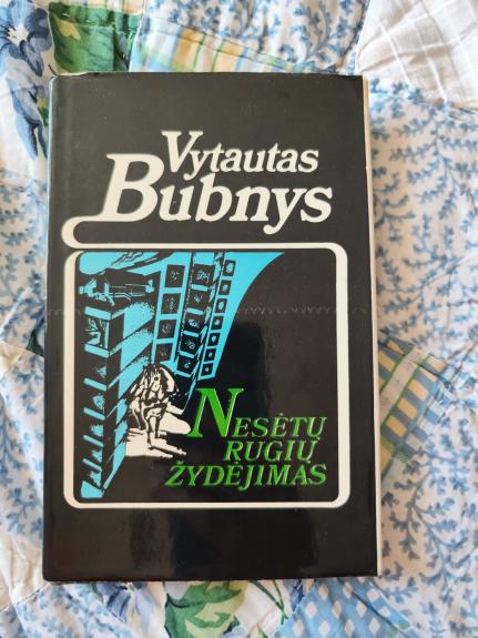 Nesėtų rugių žydėjimas