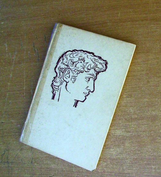 Mikelandželo gyvenimas