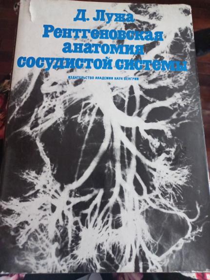 Rentgenovskaja anatomija sosudistoj sistemi